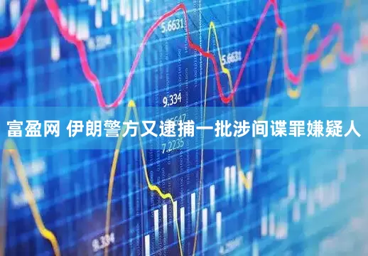 富盈网 伊朗警方又逮捕一批涉间谍罪嫌疑人