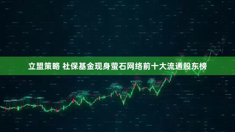 立盟策略 社保基金现身萤石网络前十大流通股东榜