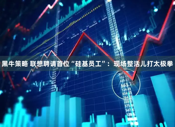 黑牛策略 联想聘请首位“硅基员工”：现场整活儿打太极拳