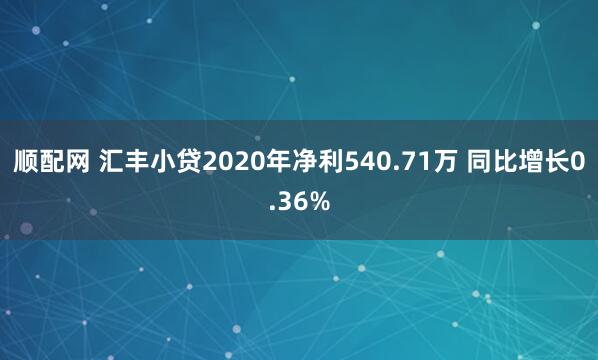 顺配网 汇丰小贷2020年净利540.71万 同比增长0.36%
