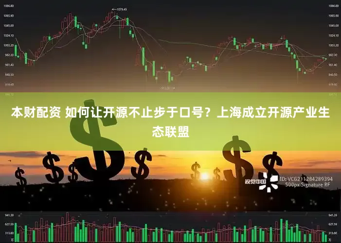 本财配资 如何让开源不止步于口号？上海成立开源产业生态联盟