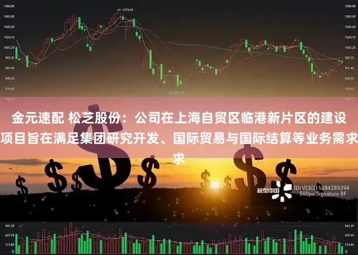 金元速配 松芝股份：公司在上海自贸区临港新片区的建设项目旨在满足集团研究开发、国际贸易与国际结算等业务需求